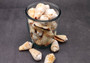 Strawberry Conch Seashells (10 pcs.) - Conomurex Luhuanus. Multiple white and tanned small shells in a pile. Copyright 2024 SeaShellSupply.com.