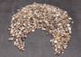 Tiny Seashell Assorted Ocean Mix For Crafts (approx. 1 kilogram 0.25+ inches) Tiny Shell Variety Assortment for arts crafts décor & display! Copyright 2025 SeaShellSupply.com.