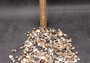 Tiny Seashell Assorted Ocean Mix For Crafts (approx. 1 kilogram 0.25+ inches) Tiny Shell Variety Assortment for arts crafts décor & display! Copyright 2025 SeaShellSupply.com.