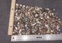 Tiny Seashell Assorted Ocean Mix For Crafts (approx. 1 kilogram 0.25+ inches) Tiny Shell Variety Assortment for arts crafts décor & display! Copyright 2025 SeaShellSupply.com.