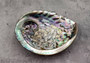Polished Violet Midas Abalone (5-6 inches) - Haliotis Midae. Big round purple and black mixture. Copyright 2022 SeaShellSupply.com.