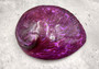 Polished Violet Midas Abalone (5-6 inches) - Haliotis Midae. Big round purple and black mixture. Copyright 2022 SeaShellSupply.com.