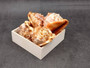 Baby Bull\'s Mouth Helmet Seashell Cassis Rufa (1 shell approx. 3+ inches) Adorable shell for any coastal craft or decoration! Copyright 2022 SeaShellSupply.com