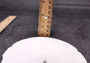 Arrowhead Sand Dollar, Extra Large - Encope Michelini - (One 5-6 inch Sand Dollar). One white domed Sand Dollar. Copyright 2024 SeaShellSupply.com.