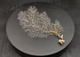 White Sea Fan (1 fan approx. 7-10 inches). White branched fan. Copyright 2025 SeaShellSupply.com