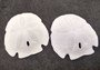 Arrowhead Sand Dollar/Large - Encope Michelini - (2 sand dollars approx. 3-4 inches). Two sand dollars next to eachother. Copyright 2024 SeaShellSupply.com.
