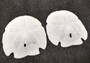 Arrowhead Sand Dollar/Large - Encope Michelini - (2 sand dollars approx. 3-4 inches). Two sand dollars next to eachother. Copyright 2024 SeaShellSupply.com.