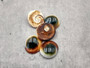 Cat\'s Eyes -Turbo Opercula - (5 shells approx. 1 inches). Multiple teal, white, and brown swirled shells spread out near each other. Copyright 2024 SeaShellSupply.com.