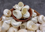 Pearlized Silver Mouth Turbo - Turbo Argyrostoma (2 shells approx. 2-2.5 inches) Great for Hermit Crabs, art projects, crafts & collecting! Two spiral lined pearl white shells, one showing the lines and smooth side of the spiral and the other showing the opening. Copyright 2022 SeaShellSupply.com.