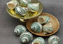 Polished Jade Turbo Shell w/Pearlized Stripe (3.5-4 inches) - Turbo Burgessi. Cream and turquoise colored swirled shells with one facing up to show the spiral and coloring and the other showing the opening. Copyright 2022 SeaShellSupply.com.