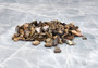 Pink Abalone Chips (approx. 90-110 chips 0.25-1 inches) multiple pieces some spotted, some smooth in a pile. Copyright 2022 SeaShellSupply.com