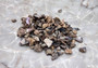 Pink Abalone Chips (approx. 90-110 chips 0.25-1 inches) multiple pieces some spotted, some smooth in a pile. Copyright 2022 SeaShellSupply.com