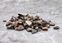 Pink Abalone Chips (approx. 90-110 chips 0.25-1 inches) multiple pieces some spotted, some smooth in a pile. Copyright 2022 SeaShellSupply.com