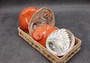 Polished Orange Midas Abalone (5-6 inches) - Haliotis Midae. One orange tinted shell with a wide opened bottom. Copyright 2025 SeaShellSupply.com.