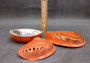 Polished Orange Midas Abalone (5-6 inches) - Haliotis Midae. One orange tinted shell with a wide opened bottom. Copyright 2025 SeaShellSupply.com.