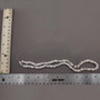Tiger Puka Seashell Strand (1 strand approx. 15.5 inches x 4-5+ mm) Beautiful shell necklace neat for beach outfits or a classic gift!