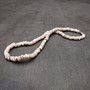 Tiger Puka Seashell Necklace (1 necklace approx. 16 inches x 5+ mm) Beautiful shell necklace neat for beach outfits or a classic gift!