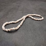 Tiger Puka Seashell Necklace (1 necklace approx. 16 inches x 5+ mm) Beautiful shell necklace neat for beach outfits or a classic gift!