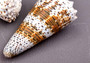Imperial Cone Seashell (2 pcs.) - (2-3 inches). Cone shaped brown and white striped shells. Copyright 2024 SeaShellSupply.com.