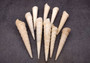 White/Tan Turitella Seashells (10 pcs.) - (appx. 2.5 Inches+) - Turitella Terebra. Multiple white spiral shells laid together.Copyright 2024 SeaShellSupply.com.