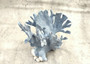 Blue Coral Cluster - Heliopora Coerula - (1 coral cluster 5-7 inches). Blue and white coral set with multiple tiny holes. Copyright 2025 SeaShellSupply.com.