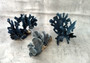 Blue Coral Cluster - Heliopora Coerula - (1 coral cluster 5-7 inches). Blue and white coral set with multiple tiny holes. Copyright 2022 SeaShellSupply.com.