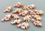 Pendant Murex Seashell Chicoreus Aculeatus (1 shell approx. 1.25+ inches) Small seashells ideal for display & collecting!