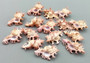 Pendant Murex Seashell Chicoreus Aculeatus (1 shell approx. 1.25+ inches) Small seashells ideal for display & collecting!