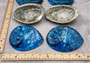 Polished Blue Midas Abalone - Haliotis Midae - (1 shell approx. 5-6 inches). One blue spiral glazed shell with wide opening and small spiral off to one side. Copyright 2022 SeaShellSupply.com.