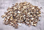One Kilo (2.2 lbs.) Small Shell Mix. Multiple different colored shells ranging different shapes and sizes. Copyright 2024 SeaShellSupply.com.
