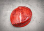 Polished Red Midas Abalone - Haliotis Midae - (1 shell approx. 5-6 inches). One red dyed tinted abalone shell with an iridescent inside and small spiral. Copyright 2025 SeaShellSupply.com.