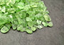 Beach Glass - Crushed & Tumbled Small Light Green Pebbles - (approx. 1 Kilogram/2.2 lbs. .25-1 inches). Multiple different colored crushed pebbles in a pile. Copyright 2025 SeaShellSupply.com.