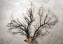 Black Sea Fan - Gorgonia Ventalina - (1 fan approx. 7-10 inches). One tree looking Sea Fan with many little branches. Copyright 2022 SeaShellSupply.com.