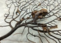 Black Sea Fan - Gorgonia Ventalina - (1 fan approx. 7-10 inches). One tree looking Sea Fan with many little branches. Copyright 2022 SeaShellSupply.com.