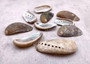 Natural Mule Ear Abalone - Haliotis Asiana - (10 shells approx. 1.5+"). Multiple brown wide open shells with holes along one edge. Copyright 2025 SeaShellSupply.com.