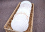 Irish Deep Baking Scallop Seashells - Pecten Yessoensis - (4 shells approx. 3 - 4\")\n4 white scallop sea shells on a stone background\nCopyright 2025 SeaShellSupply.com