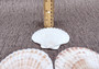 Irish Deep Baking Scallop Seashells - Pecten Yessoensis - (4 shells approx. 3 - 4\")\n4 white scallop sea shells on a stone background\nCopyright 2025 SeaShellSupply.com