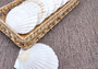 Irish Deep Baking Scallop Seashells - Pecten Yessoensis - (4 shells approx. 3 - 4\")\n4 white scallop sea shells on a stone background\nCopyright 2025 SeaShellSupply.com