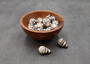 Medium Hebrew Cone Seashells - Conus Ebraeus - (5 shells approx. 1-1.25") White shells with black spots in a pile. Copyright 2025 SeaShellSupply.com