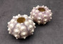 XL Purple Sea Sputnik Sea Urchin Phyllacanthus Parvispinus (2 urchins approx. 2.5+ inches) Quality natural sea shells for crafts & décor!