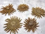 Mexican Sun Star (4-5\") - Heliaster Kubiniji. One broad brown tinted ribbed textured shell with many branches. Copyright 2025 SeaShellSupply.com.