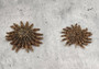 Mexican Sun Star - Heliaster Kubiniji - (2 stars approx. 2-3 inches) on light background. Copyright 2022 SeaShellSupply.com.