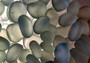 Beach Glass - Rounded Clear-White Frosted Pebbles - (approx. 1 Kilogram/2.2 lbs. 1-1.5 inches). Multiple lightly colored shells in a pile. Copyright 2025 SeaShellSupply.com.