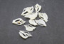 White Center Cut Strombus Variabilis - (10 shells approx. 1-1.5 inches). Multiple white spiral thinly cut shells with openings along the inside. Copyright 2022 SeaShellSupply.com.