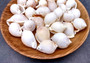 Channel Bonnet White Seashells - Phalium Canaliculatum - (10 shells approx. 1-1.5 inches). Multiple white spiral shells in a close pile. Copyright 2024 SeaShellSupply.com.