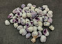 Cebu Beauty/Violet Coral Seashells - Coralliophila Neritoidea - (approx. 40-50 pcs.). Multiple purple and cream spiral shells. Copyright 2022 SeaShellSupply.com.