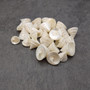 Pearlized Trochus Seashell Trochus Niloticus (approx. quarter cup 20+ shells 0.5+ inch) Neat shells for coastal crafting & collections! Pearlized Trochus Seashell Trochus Niloticus (approx. quarter cup 20+ shells 0.5+ inch) Neat shells for coastal crafting & collections!
