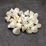 Pearlized Trochus Seashell Trochus Niloticus (approx. quarter cup 20+ shells 0.5+ inch) Neat shells for coastal crafting & collections! Pearlized Trochus Seashell Trochus Niloticus (approx. quarter cup 20+ shells 0.5+ inch) Neat shells for coastal crafting & collections!