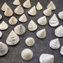 Pearlized Trochus Seashell Trochus Niloticus (approx. quarter cup +/-20 shells 0.5+ inch) Pearl Trochus Shells for arts crafts & display!
