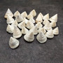 Pearlized Trochus Seashell Trochus Niloticus (approx. quarter cup +/-20 shells 0.5+ inch) Pearl Trochus Shells for arts crafts & display!